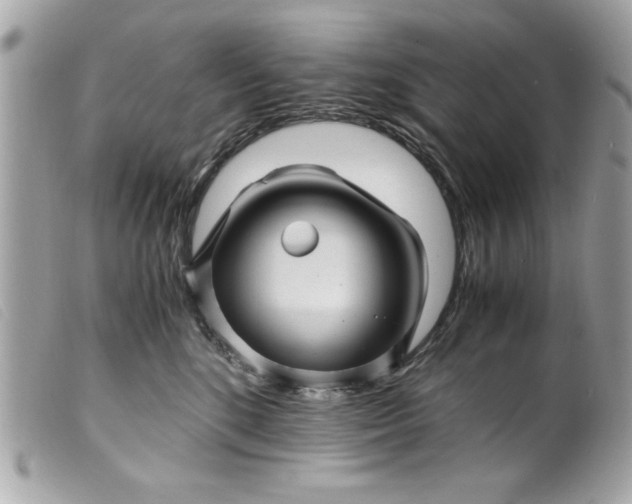 X0000099530520200805301442