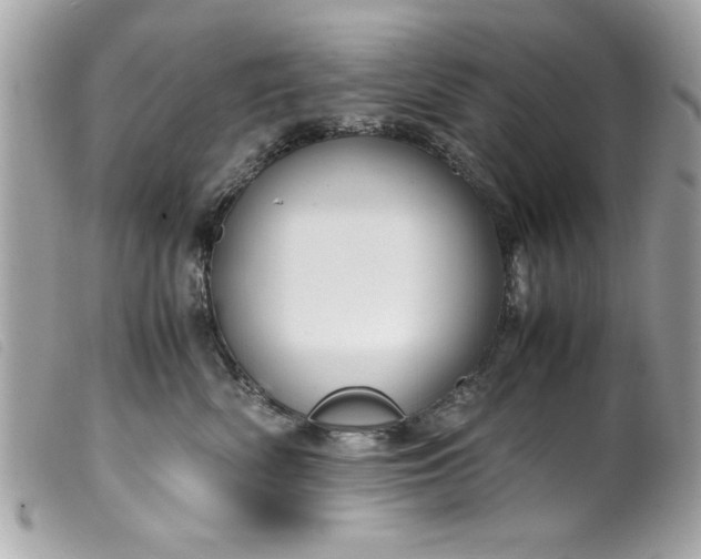 X0000099530522200805301442