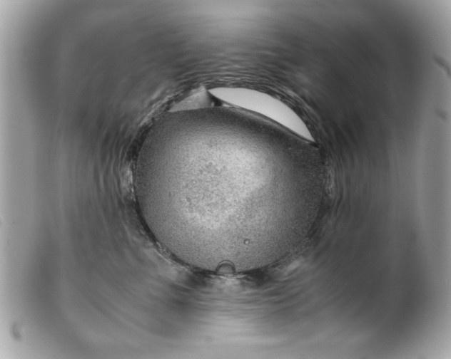 X0000099530523200805301442