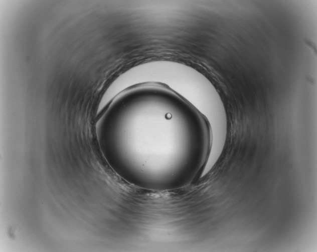 X0000099530524200805301442