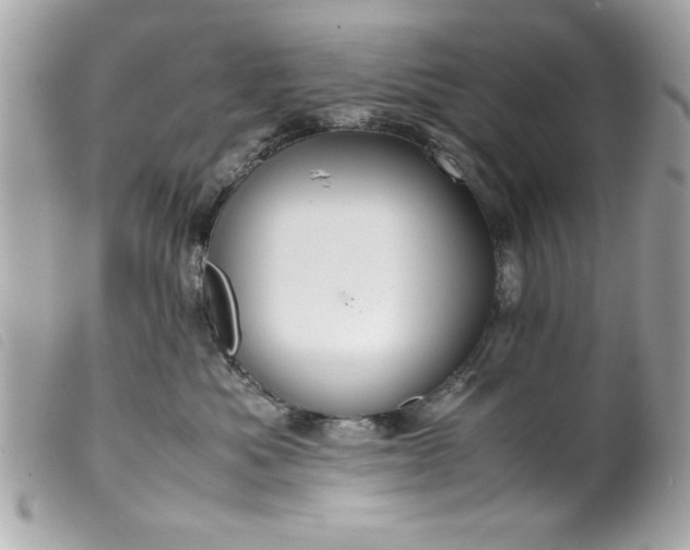 X0000099530525200805301442