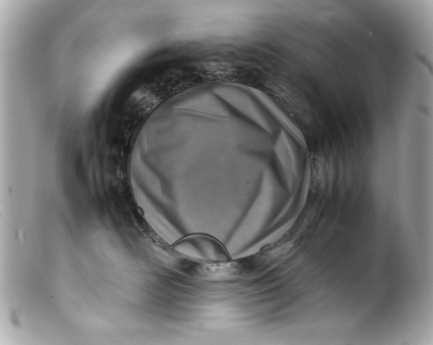 X0000099530526200805301442