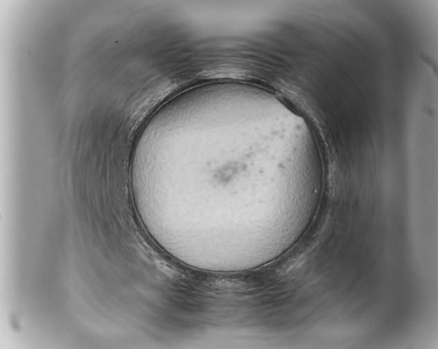 X0000099530529200805301442