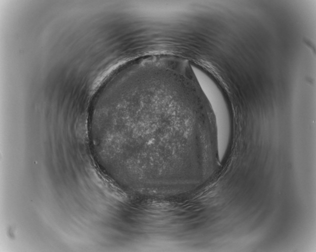 X0000099530531200805301442