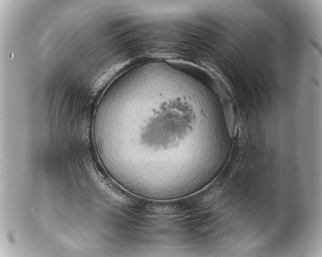 X0000099530533200805301442