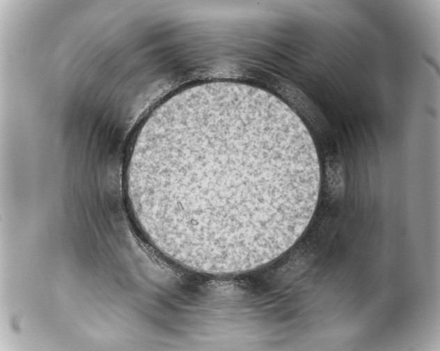 X0000099530534200805301442