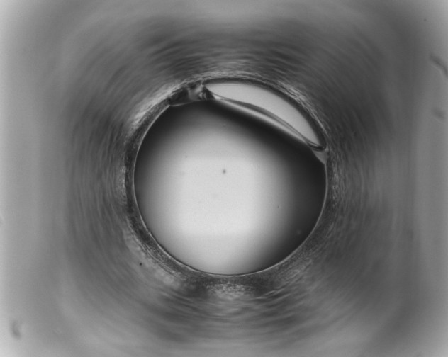 X0000099530535200805301442