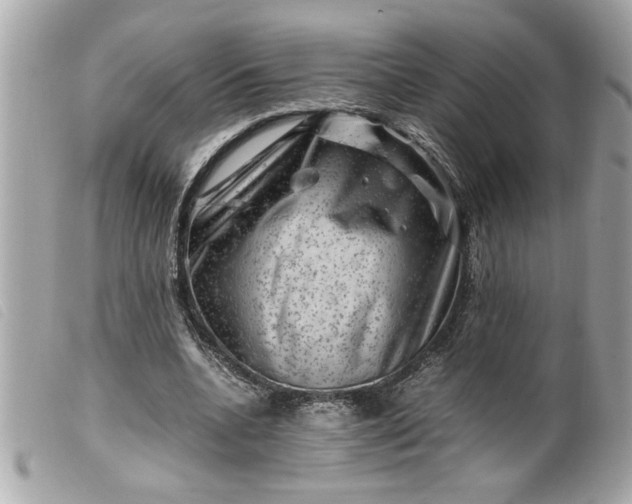 X0000099530536200805301442