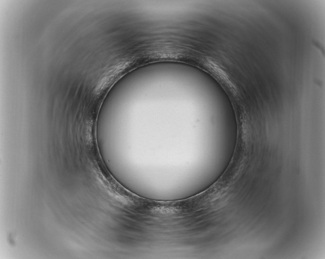 X0000099530537200805301442