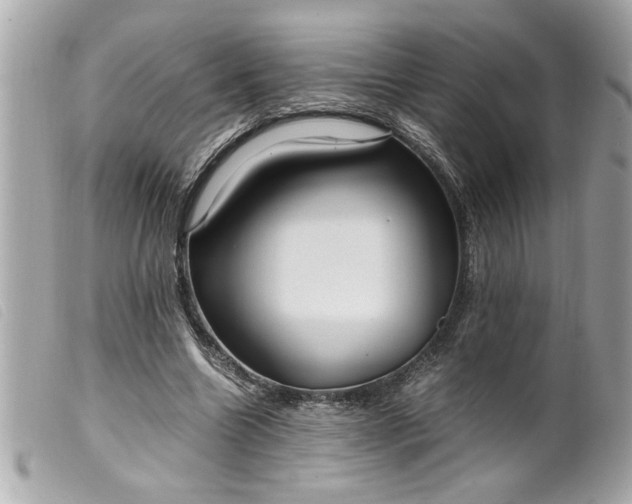 X0000099530538200805301442