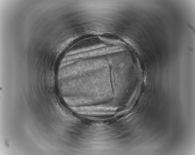 X0000099530540200805301442