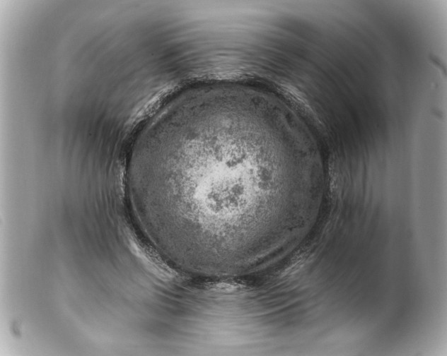 X0000099530542200805301442