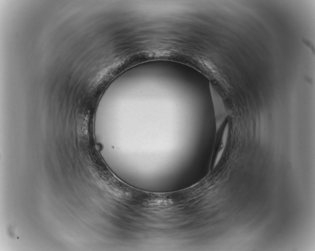 X0000099530543200805301442