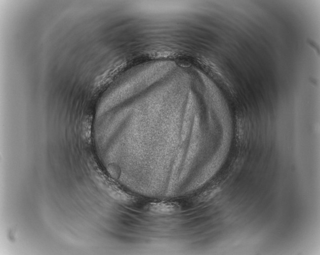 X0000099530545200805301442