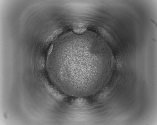 X0000099530546200805301442