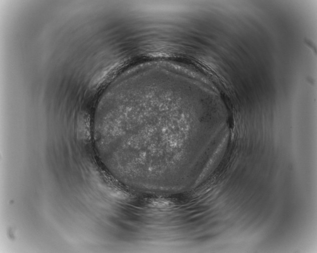 X0000099530547200805301442