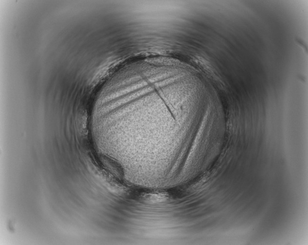 X0000099530548200805301442