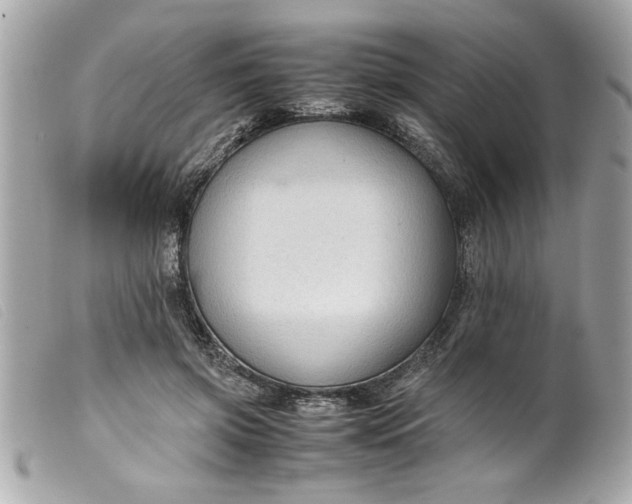 X0000099530549200805301442