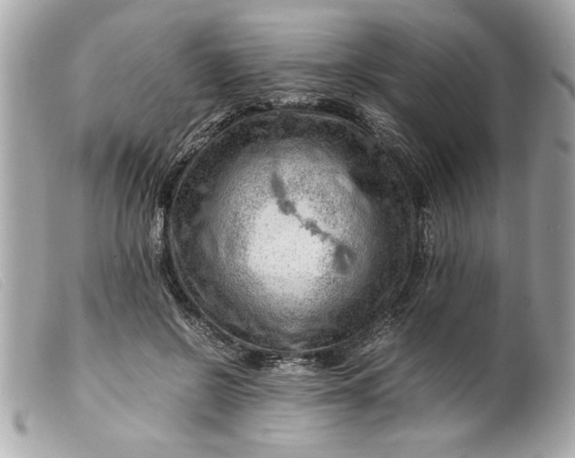 X0000099530550200805301442