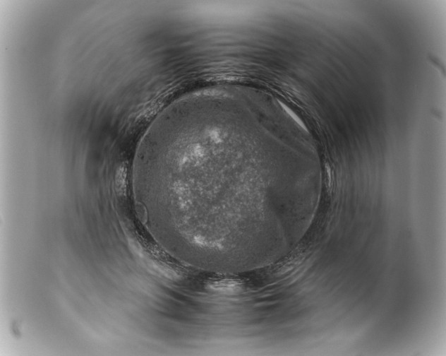 X0000099530551200805301442