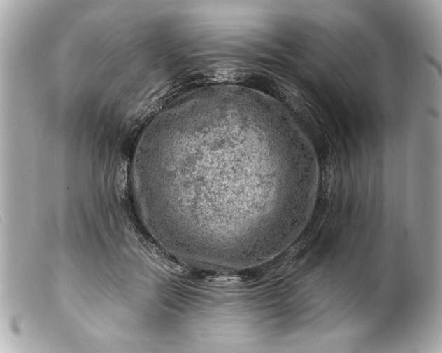 X0000099530554200805301442