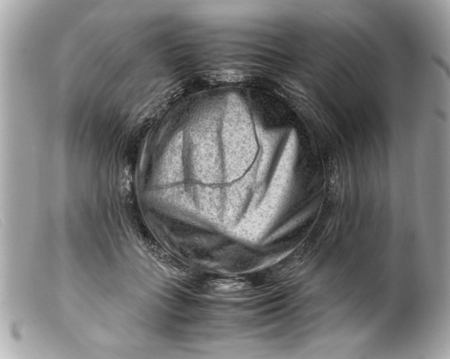 X0000099530555200805301442