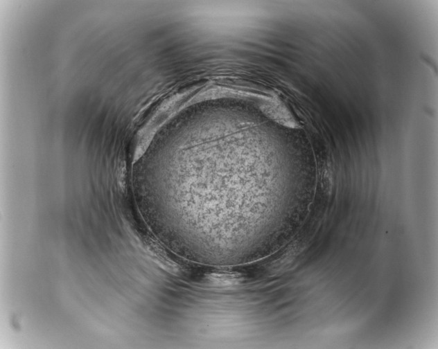 X0000099530556200805301442