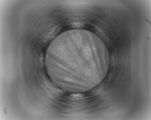 X0000099530557200805301442