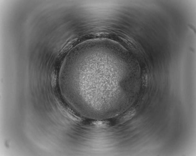 X0000099530558200805301442