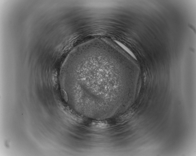 X0000099530559200805301442