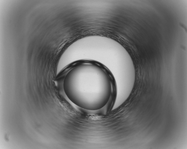 X0000099530560200805301442