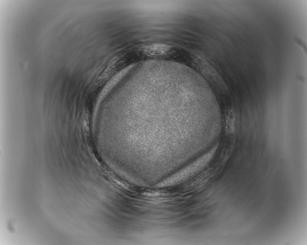 X0000099530561200805301442