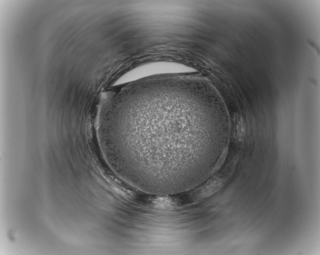 X0000099530562200805301442