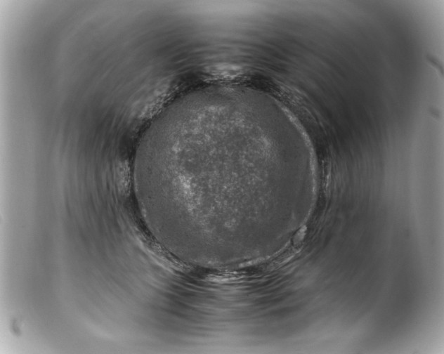 X0000099530563200805301442