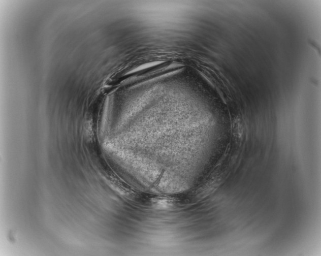 X0000099530564200805301442