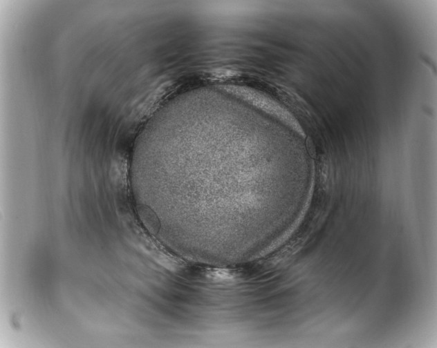 X0000099530565200805301442