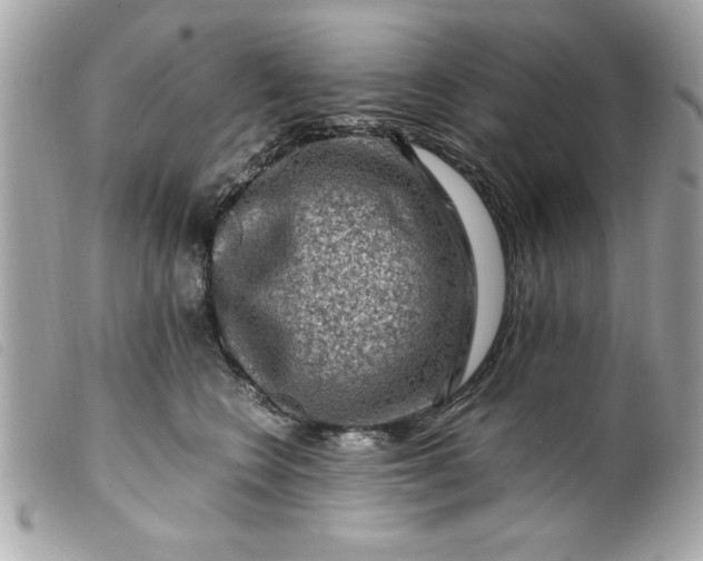 X0000099530566200805301442