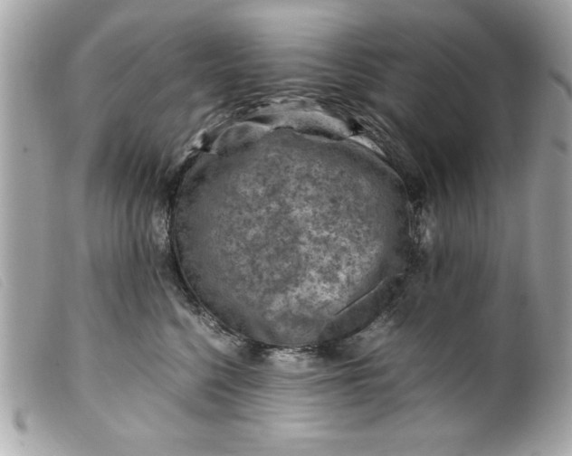 X0000099530568200805301442