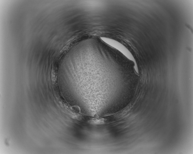 X0000099530569200805301442