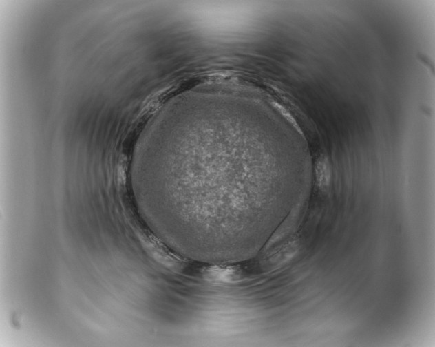 X0000099530570200805301442