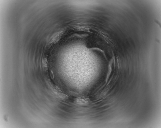 X0000099530571200805301442