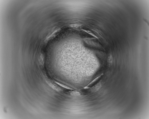 X0000099530572200805301442