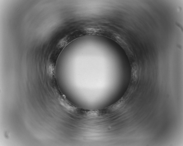 X0000099530574200805301442