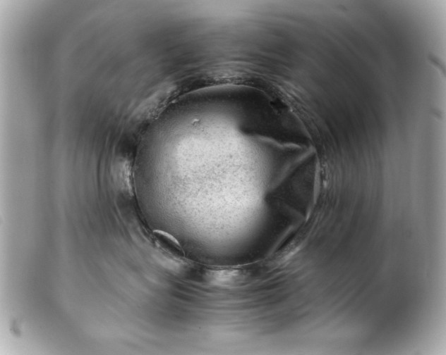 X0000099530575200805301442