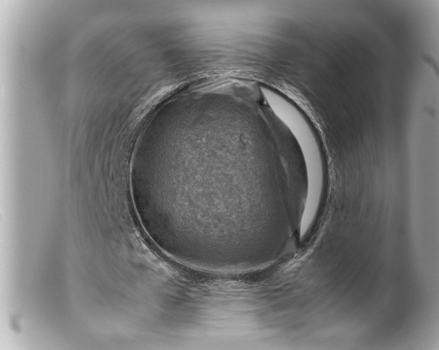 X0000099530577200805301442