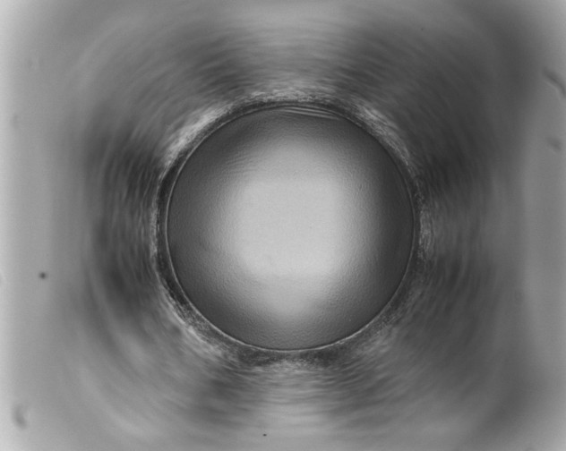 X0000099530578200805301442