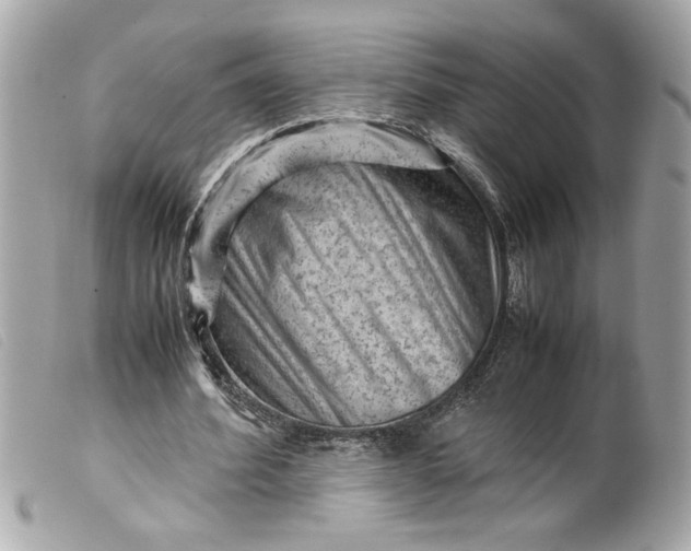 X0000099530580200805301442