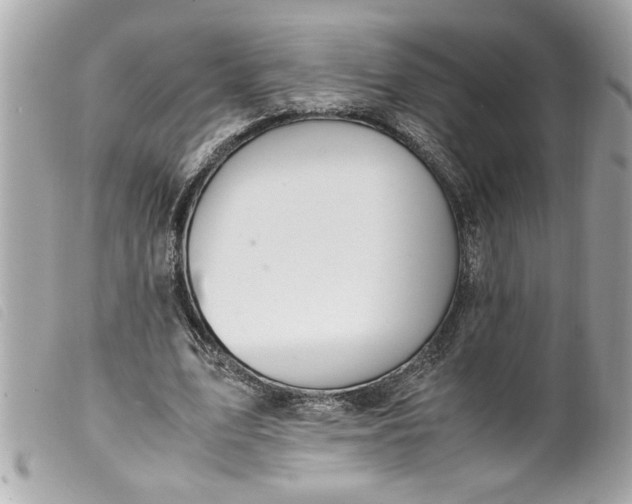 X0000099530583200805301442