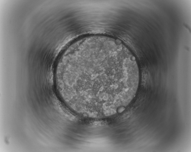 X0000099530584200805301442