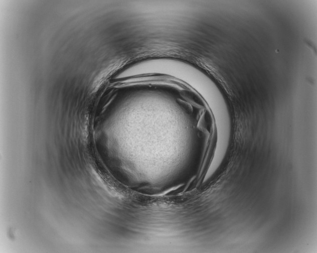 X0000099530586200805301441